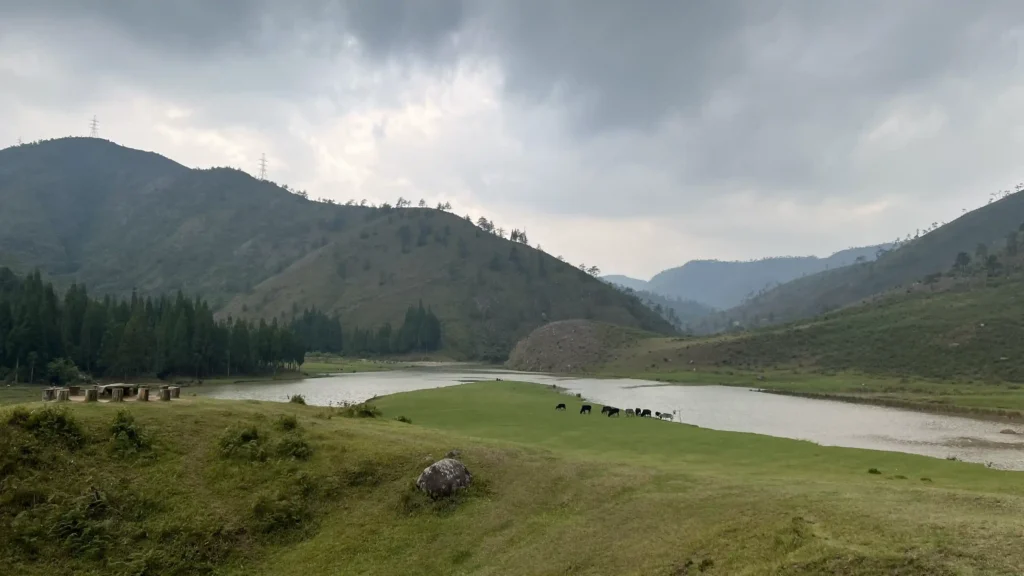 Cattle field of Wahniangleng